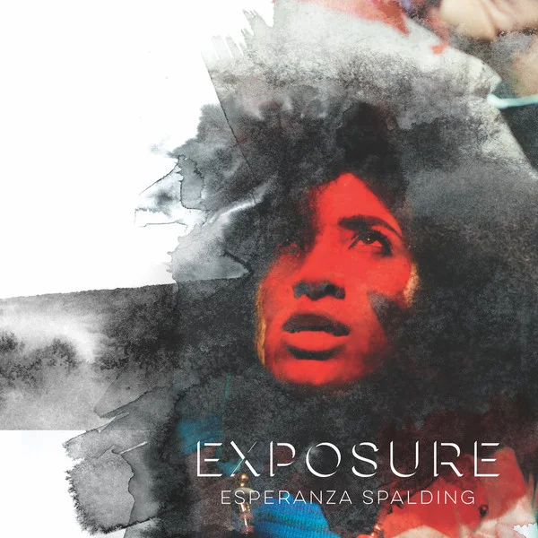 Cover of Exposure