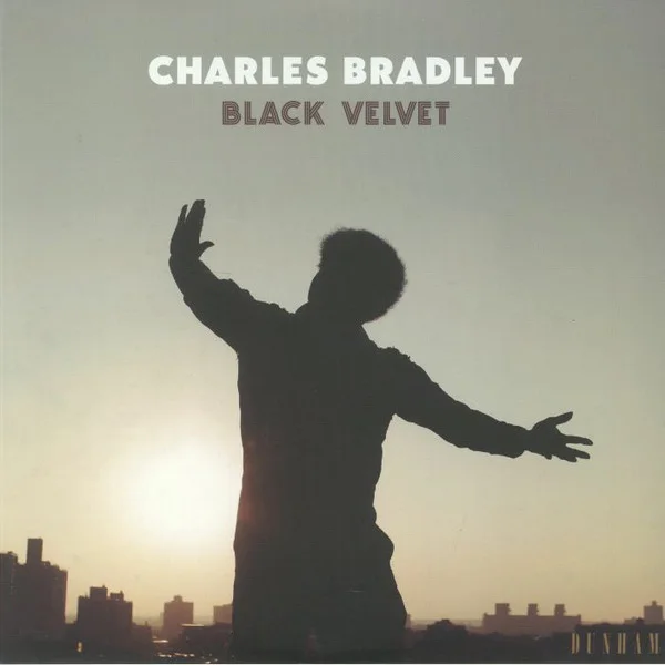 Cover of Black Velvet