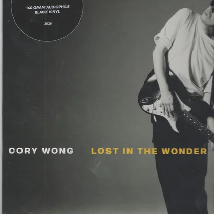 Cover of Lost In The Wonder