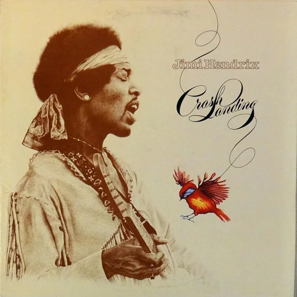 Cover of Crash Landing