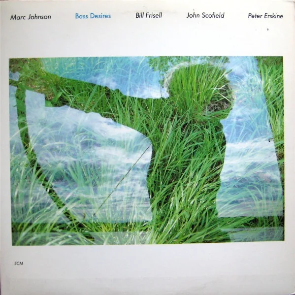 Cover of Bass Desires