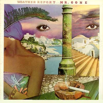 Cover of Mr. Gone