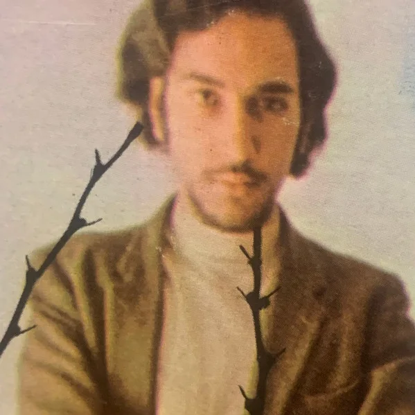 Dahaud Shaar