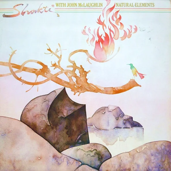 Cover of Natural Elements