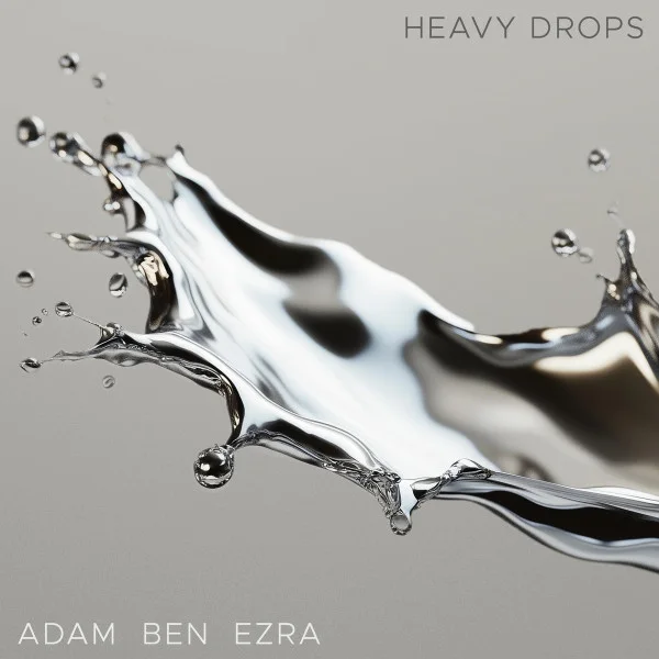 Cover of Heavy Drops