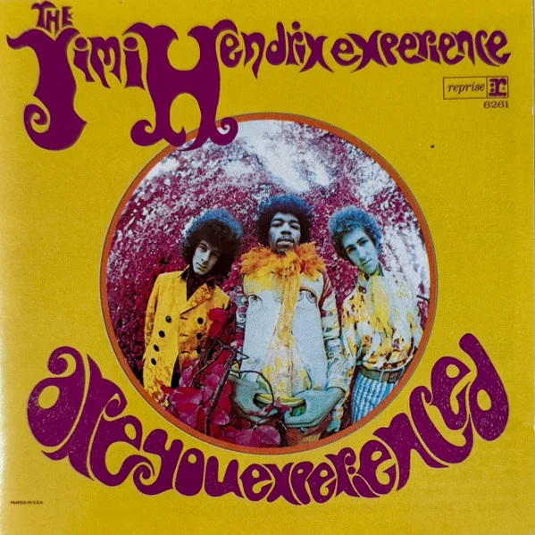 Cover of Are You Experienced?