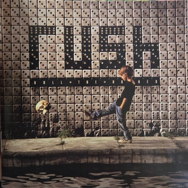 Cover of Roll The Bones