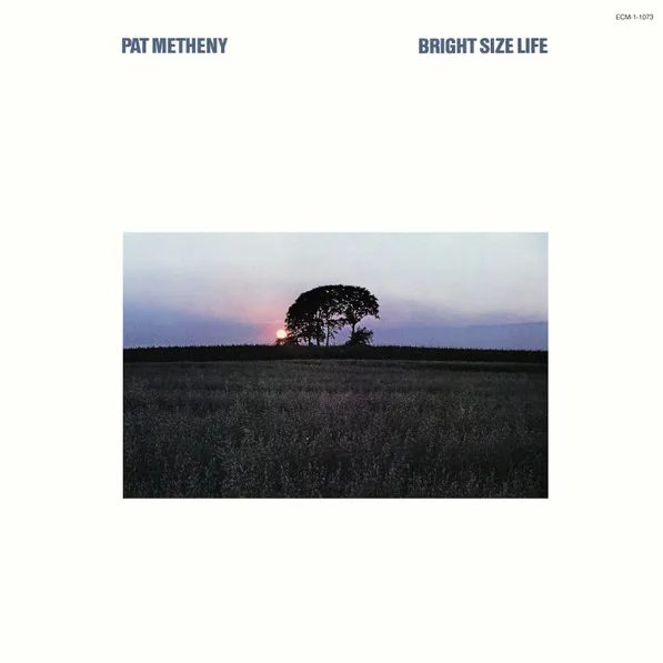 Cover of Bright Size Life