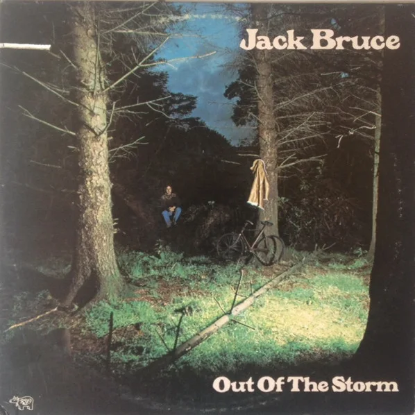 Cover of Out Of The Storm
