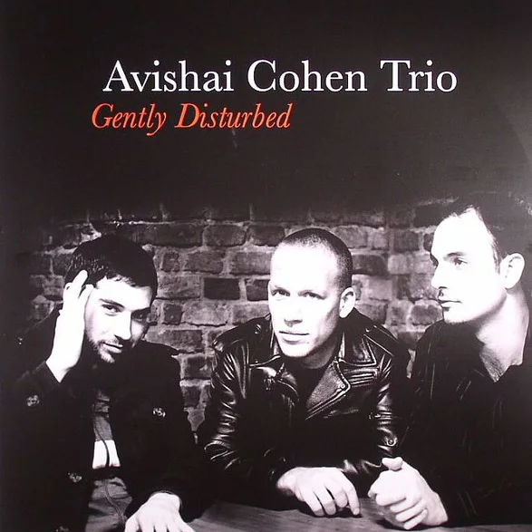 Cover of Gently Disturbed