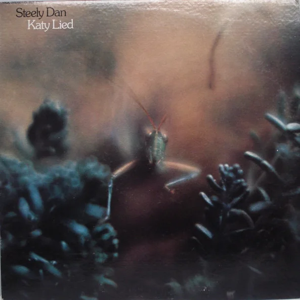 Cover of Katy Lied