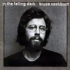 Cover of In The Falling Dark
