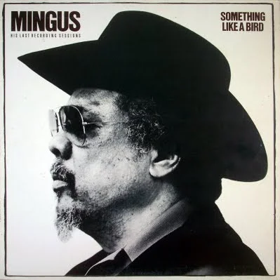 Cover of Something Like A Bird