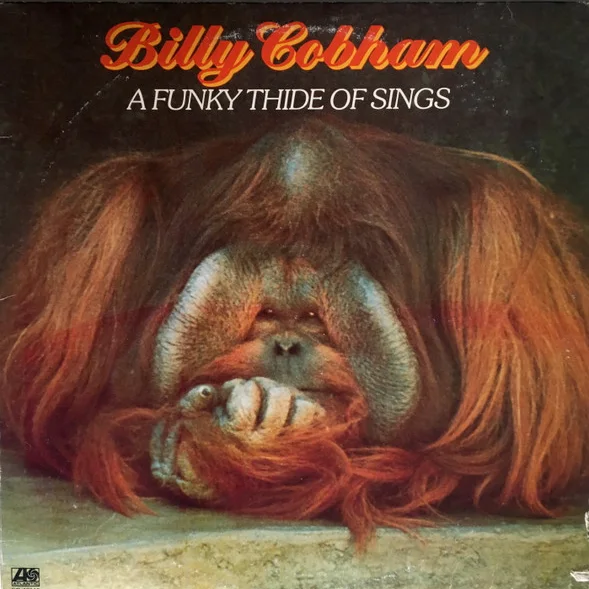 Cover of A Funky Thide Of Sings