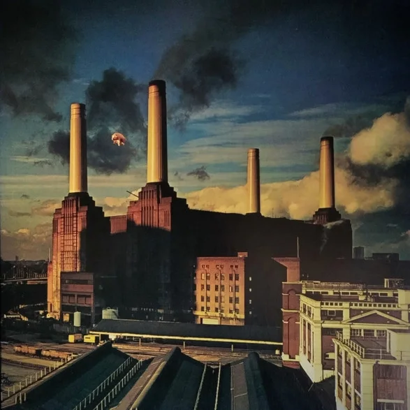 Cover of Animals