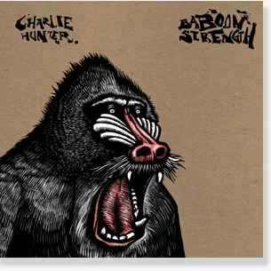 Cover of Baboon Strength