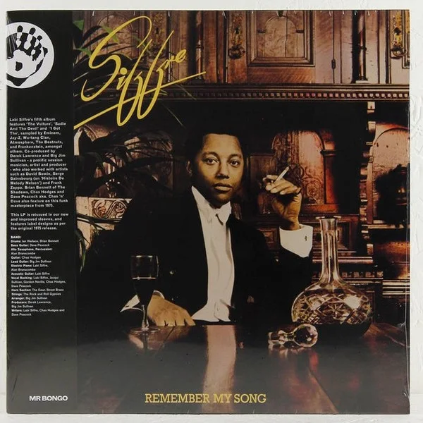 Cover of Remember My Song