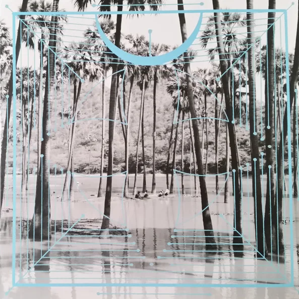 Cover of Pink